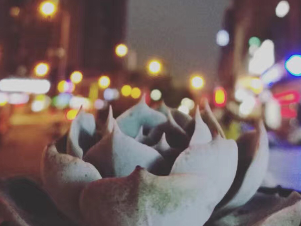 假如我有3天時(shí)間-我愿意留住企業(yè)宣傳片制作最美的瞬間 假如我有3天時(shí)間-我愿意留住企業(yè)宣傳片制作最美的瞬間