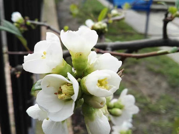 假如我有3天時(shí)間-我愿意留住企業(yè)宣傳片制作最美的瞬間 假如我有3天時(shí)間-我愿意留住企業(yè)宣傳片制作最美的瞬間