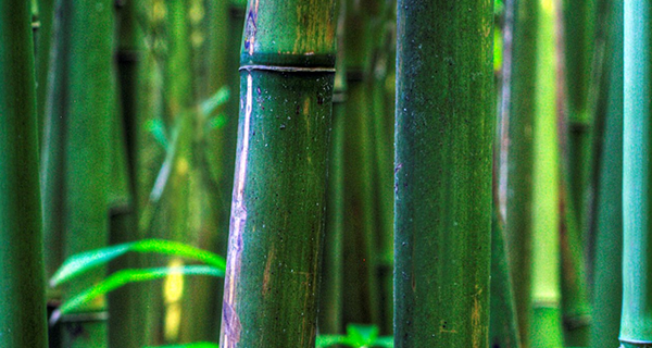 常見的房地產(chǎn)3D動畫制作案例有哪些？