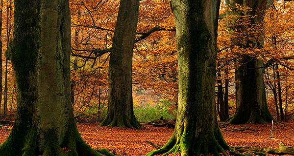 我們最為熟知的企業(yè)宣傳片制作流程是什么呢？