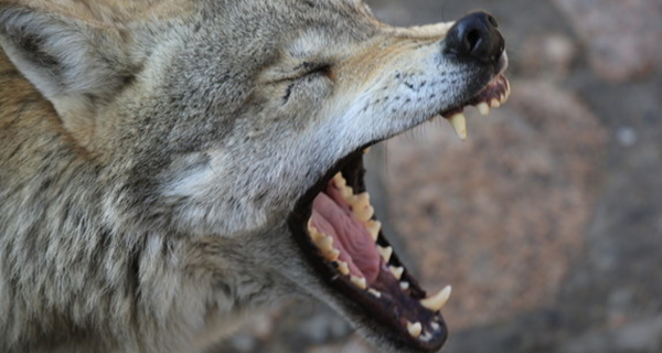 瓜子指南：怎樣拍攝新穎且極具傳播力企業(yè)宣傳片？